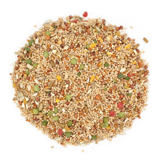 Sunseed Vita Sunscript Dove Pigeon, etiqueta indica fabricación en Estados Unidos
