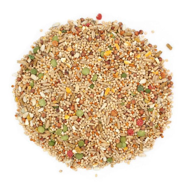 Sunseed Vita Sunscript Dove Pigeon, etiqueta indica fabricación en Estados Unidos