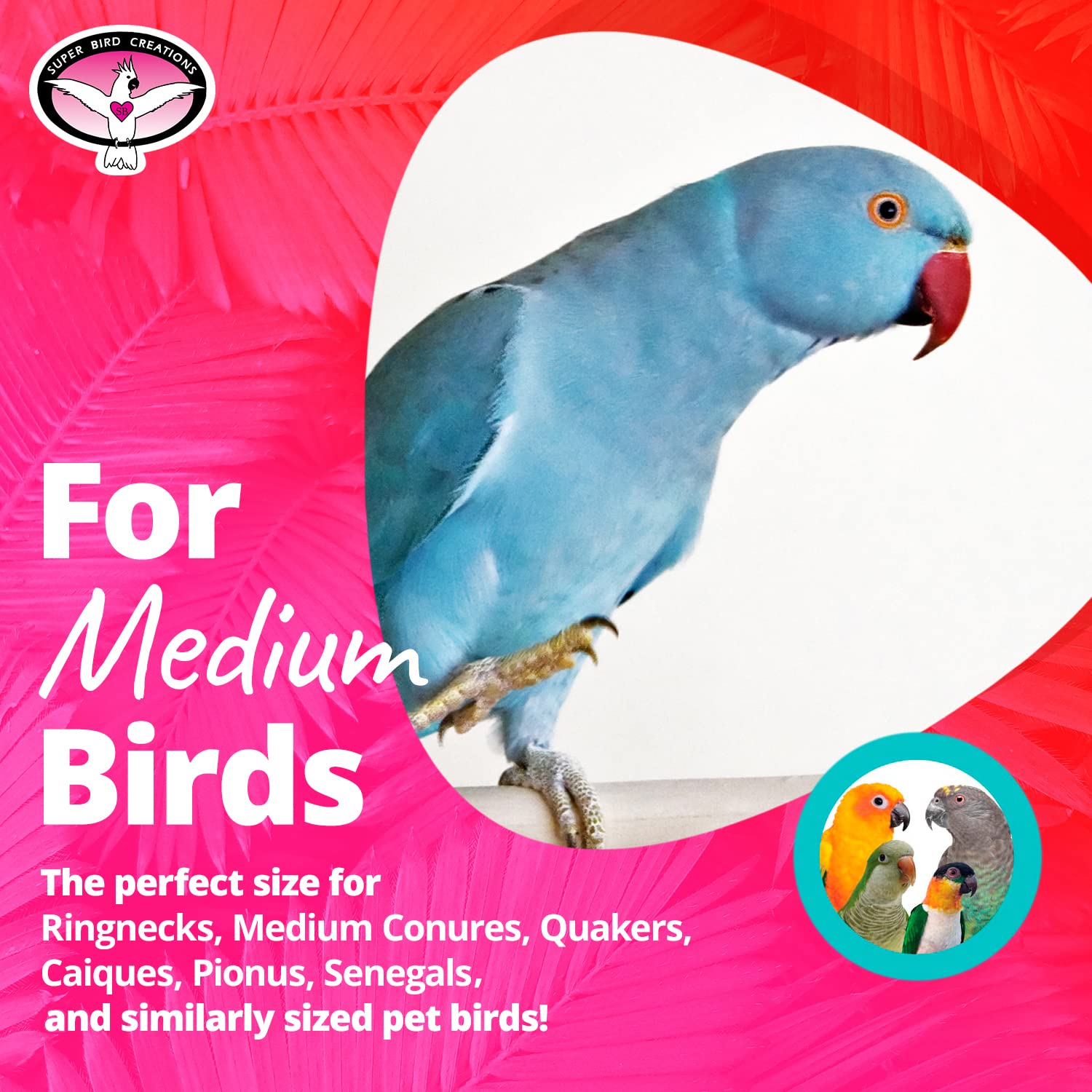 SB324, juguete de colores vibrantes para pajaro mediano, estimula la exploración.