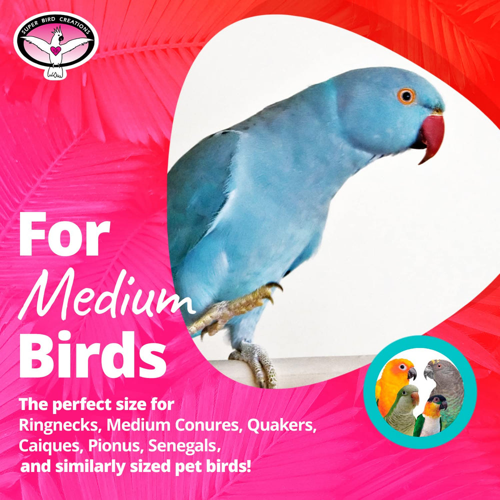 SB324, juguete de colores vibrantes para pajaro mediano, estimula la exploración.