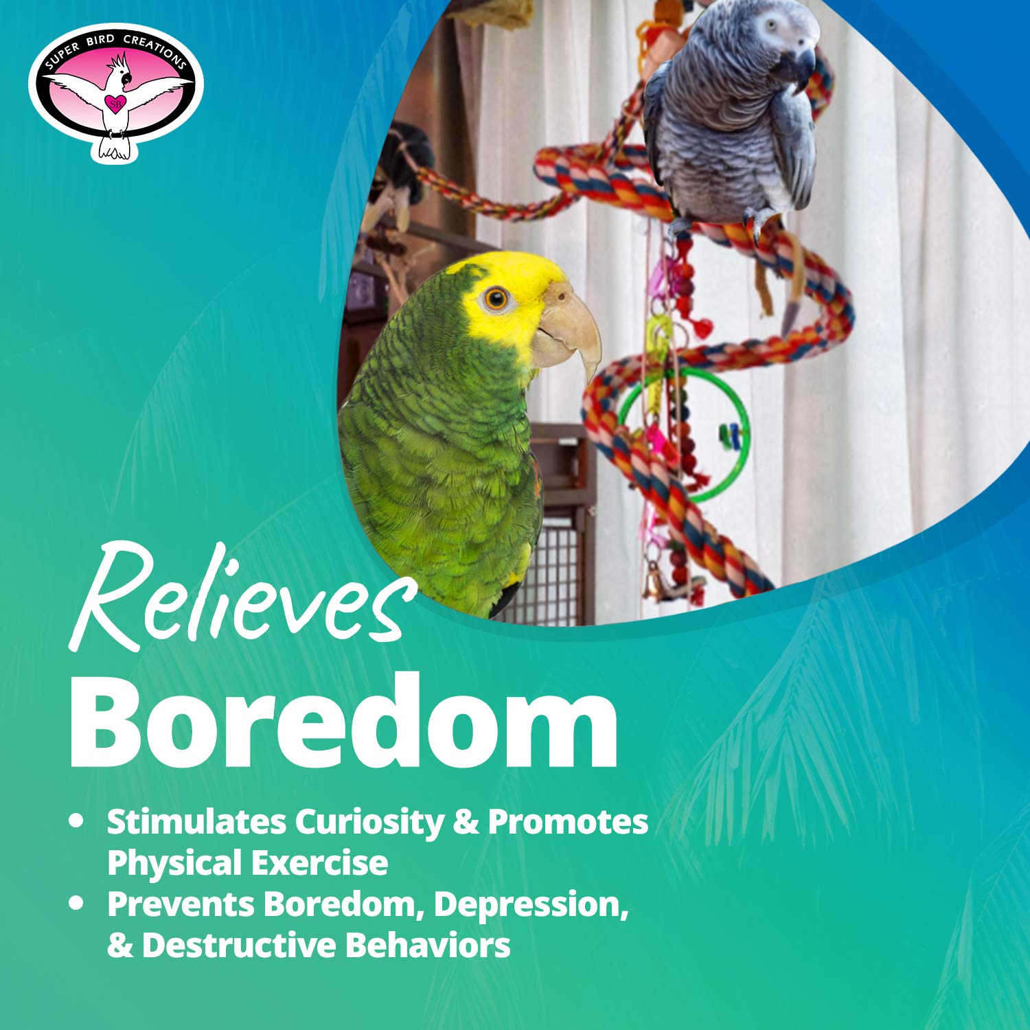 SB325 de Super Bird Creations: colores llamativos que inspiran exploración y ejercicio.