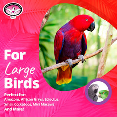 SB325 de Super Bird Creations: percha para jaula de loro gris africano, estimula movimiento natural.