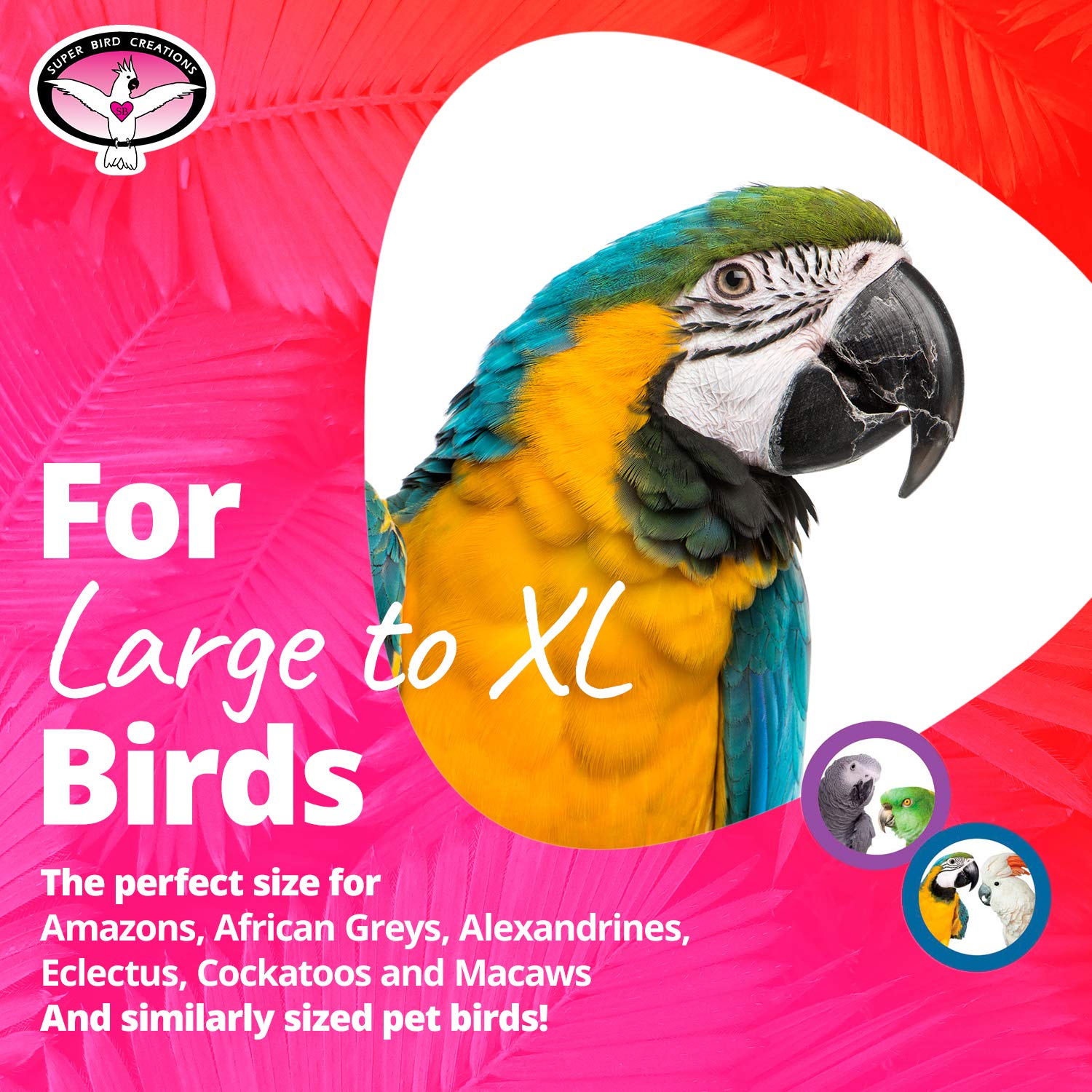 Diseño seguro SB326 para jaulas grandes y aves