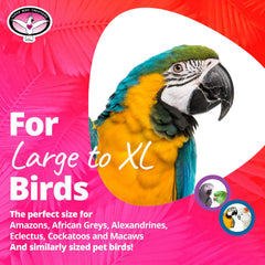 Diseño seguro SB326 para jaulas grandes y aves