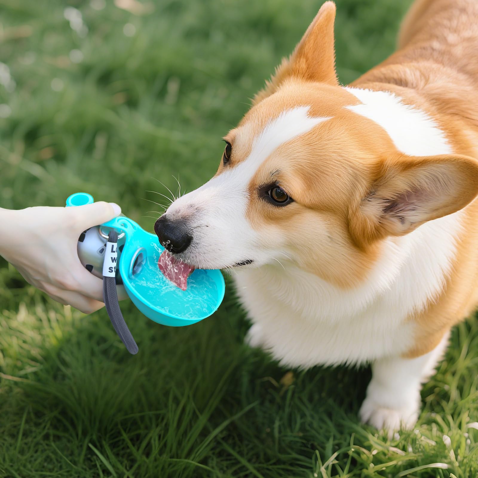 Botella ligera de 300 ml de Super Design para perros pequeños