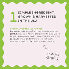 Ingredientes naturales de mejillón verde en polvo de Super Snouts para bienestar articular
