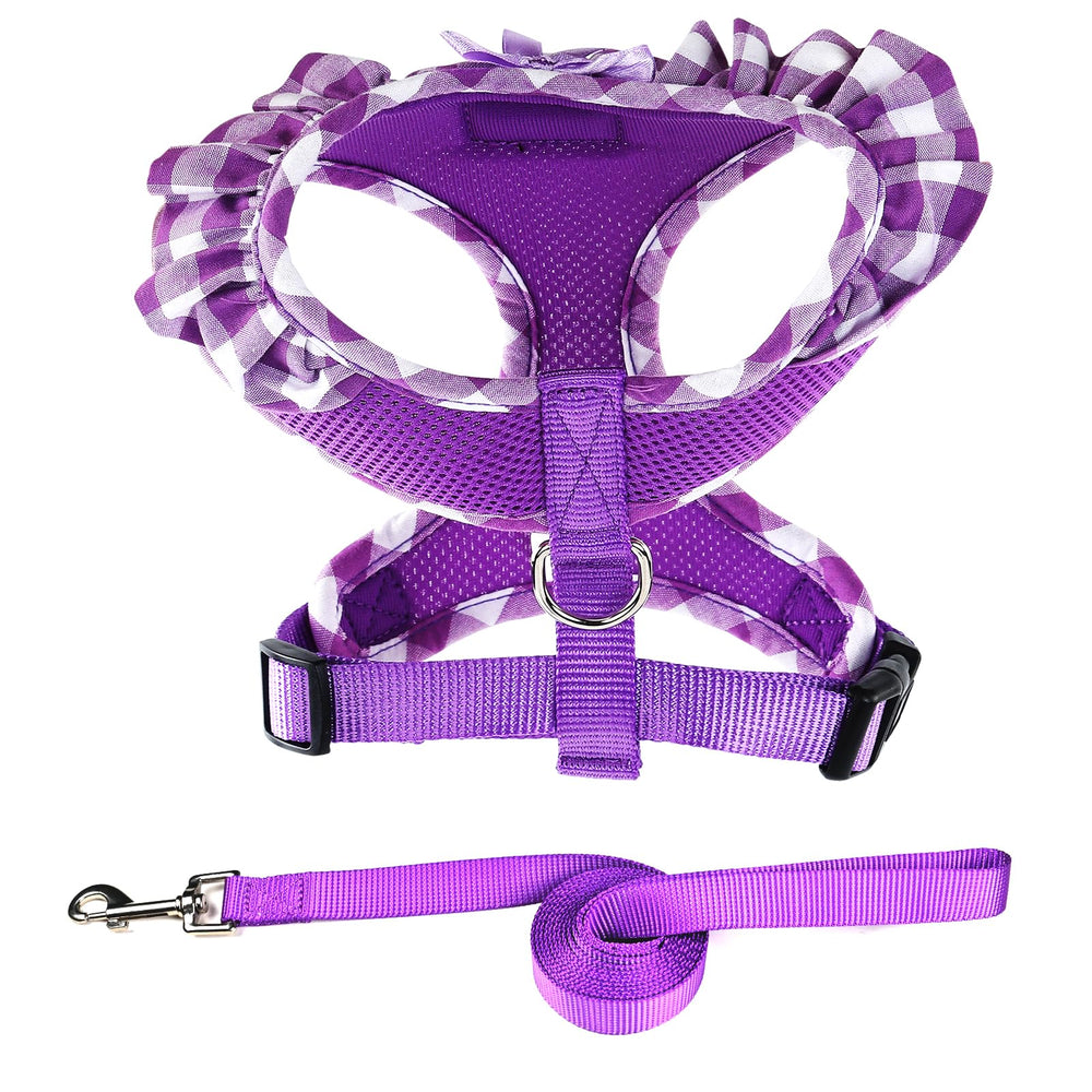 Arnés con diseño floral y lazo de SuperBuddy para lucir elegante al caminar.