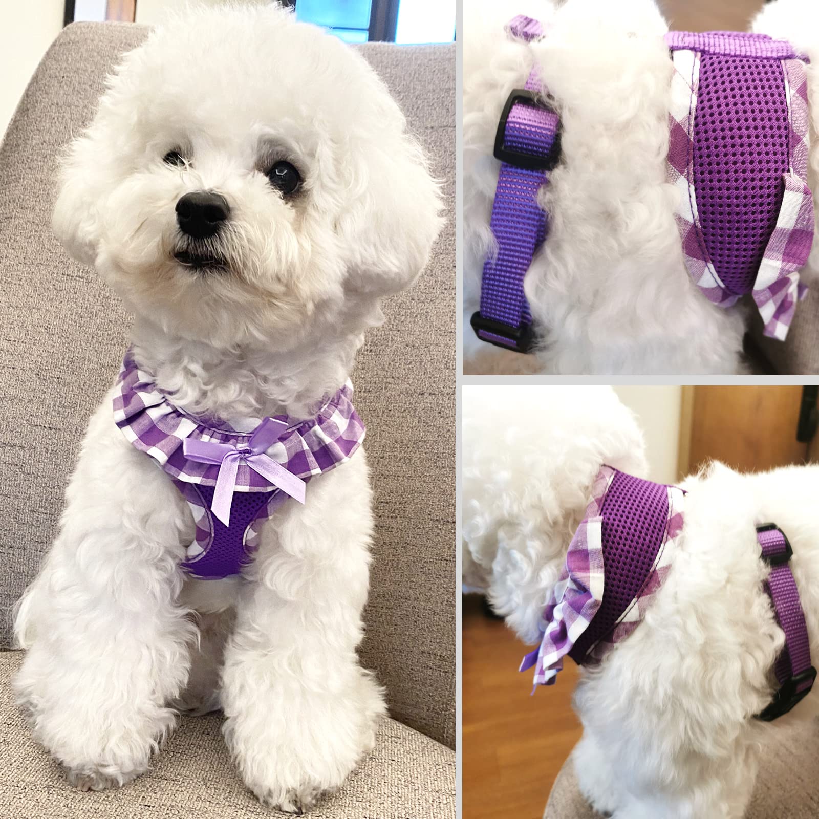 Diseño adorable de SuperBuddy para paseos diarios.