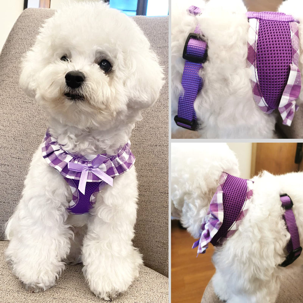 Diseño adorable de SuperBuddy para paseos diarios.