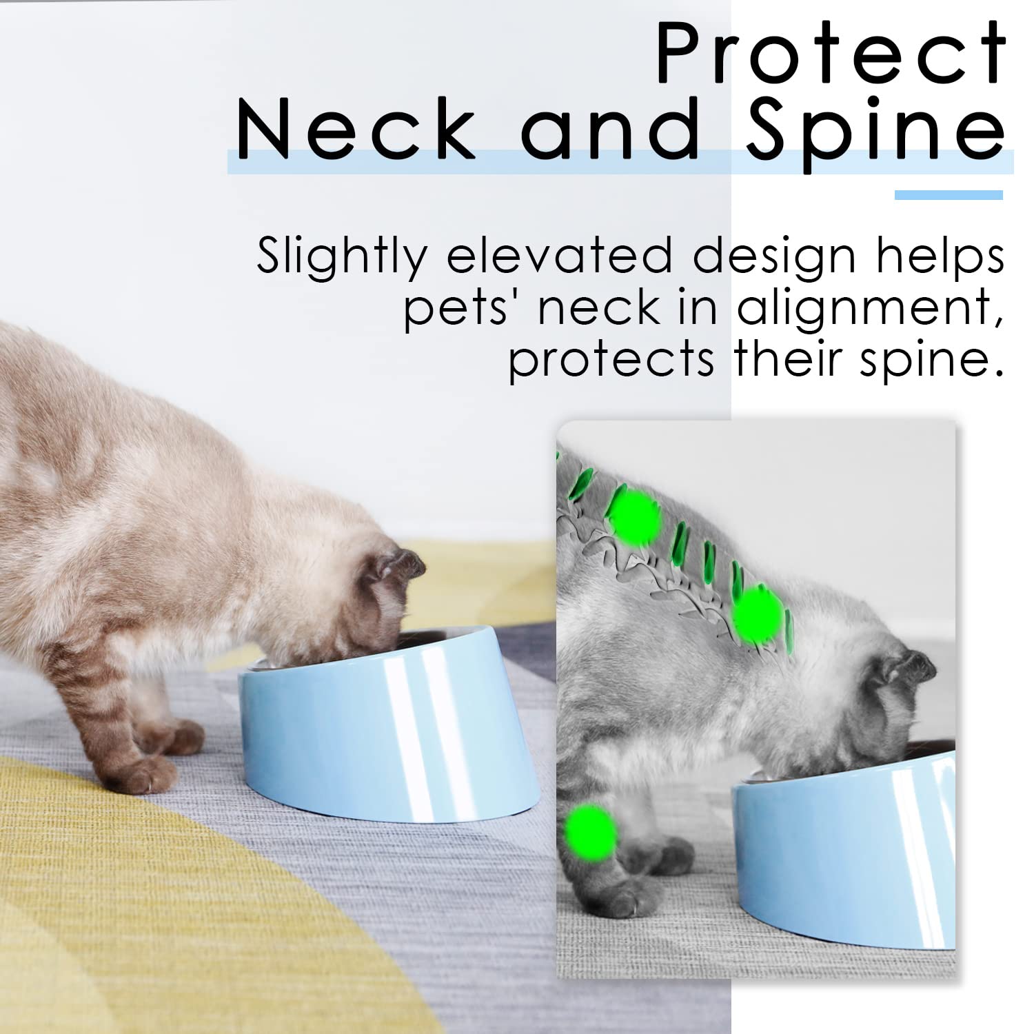 Super Design tazón anti derrames, mantiene limpio el borde durante la comida