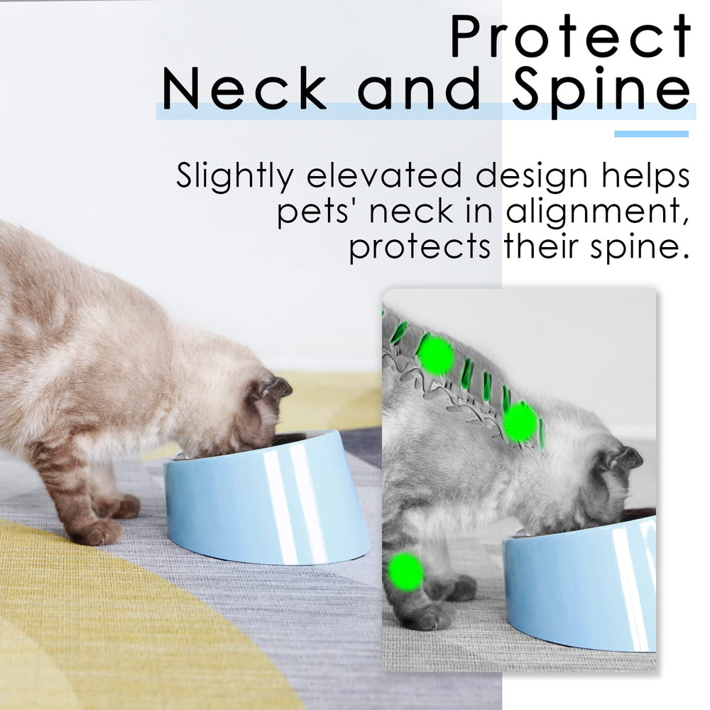 Super Design tazón anti derrames, mantiene limpio el borde durante la comida