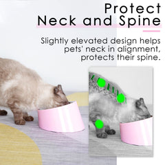 Super Design tazón elevado para gatos pequeños, cuello cómodo.