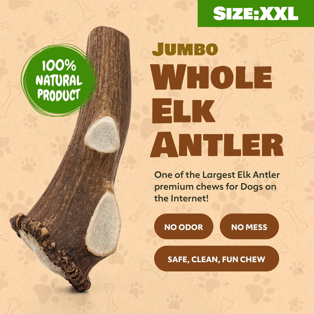 Superior Antler: juego en casa y al aire libre con astas enteras.
