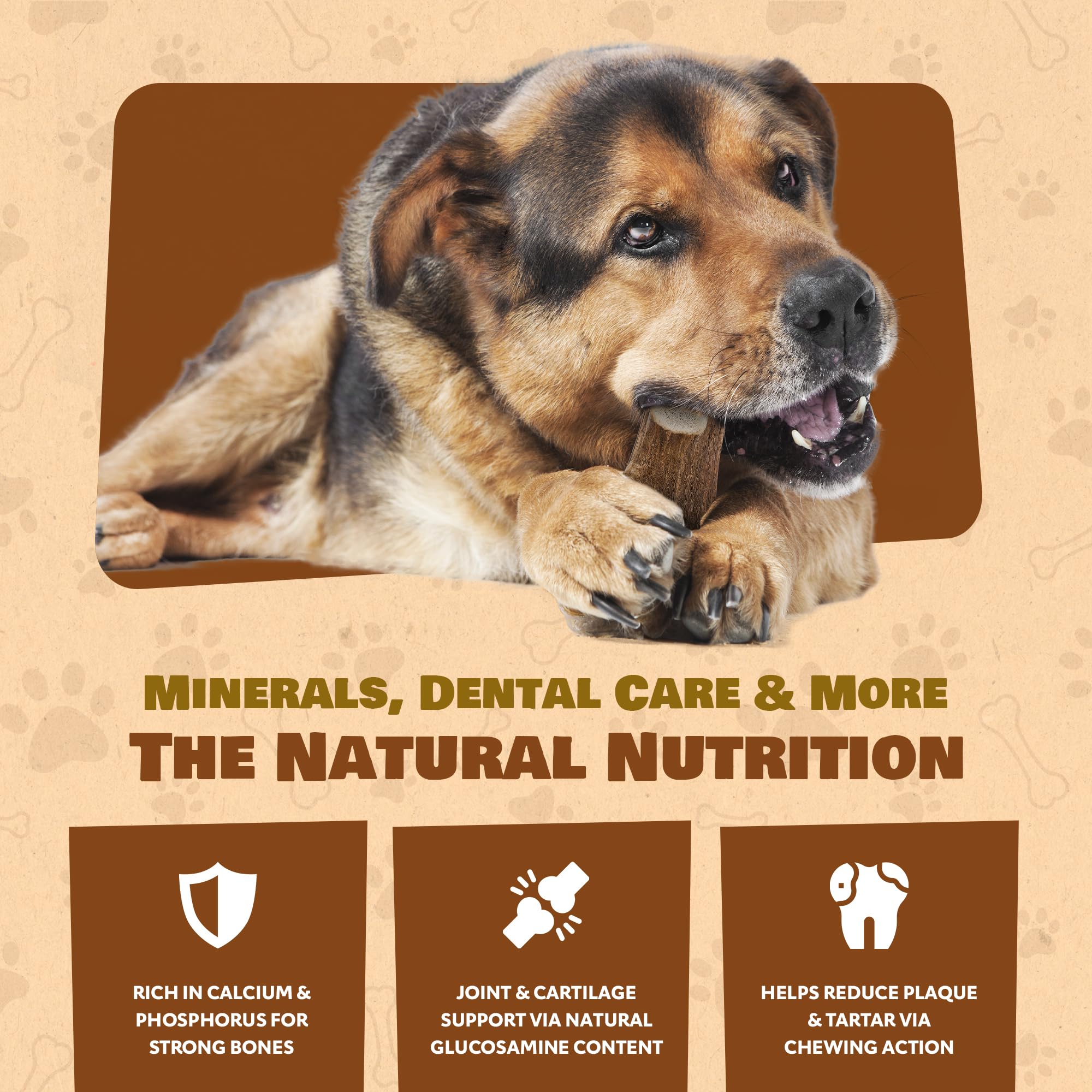 Superior Antler: astas enteras sin olor ni químicos para uso interior.