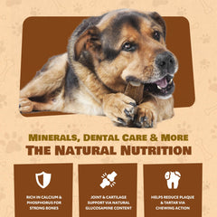 Superior Antler: astas enteras sin olor ni químicos para uso interior.