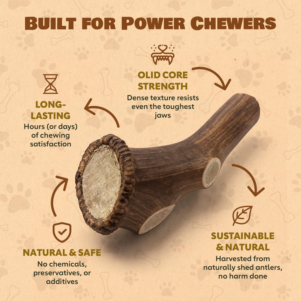 Superior Antler: uso diario seguro para masticadores agresivos con astas enteras.