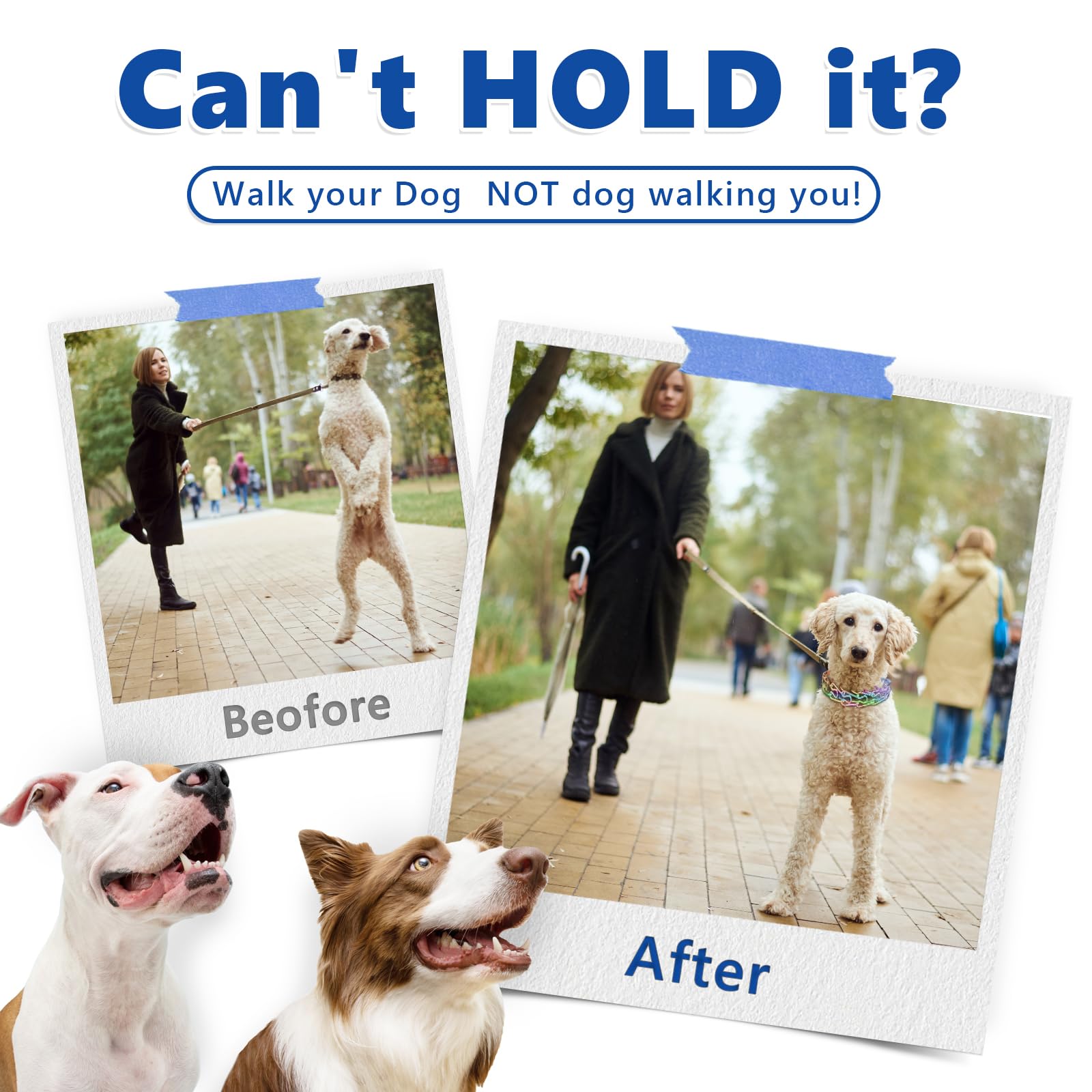 Supet collar prong para perro, ajuste grande, ideal para razas grandes.