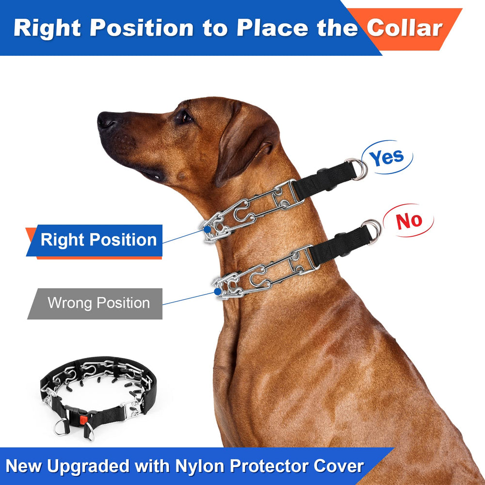 Supet collar de púas con ajuste rápido para colocar y quitar fácilmente