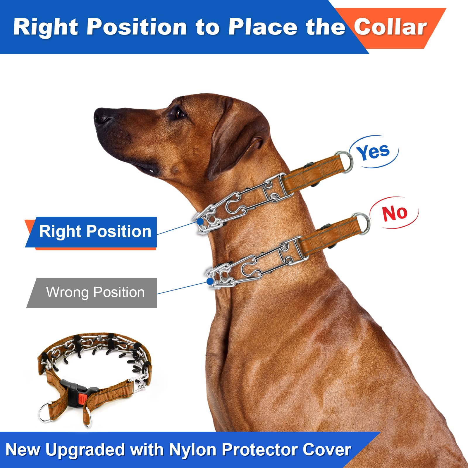 Supet collar de púas para perros, uso diario y paseos tranquilos