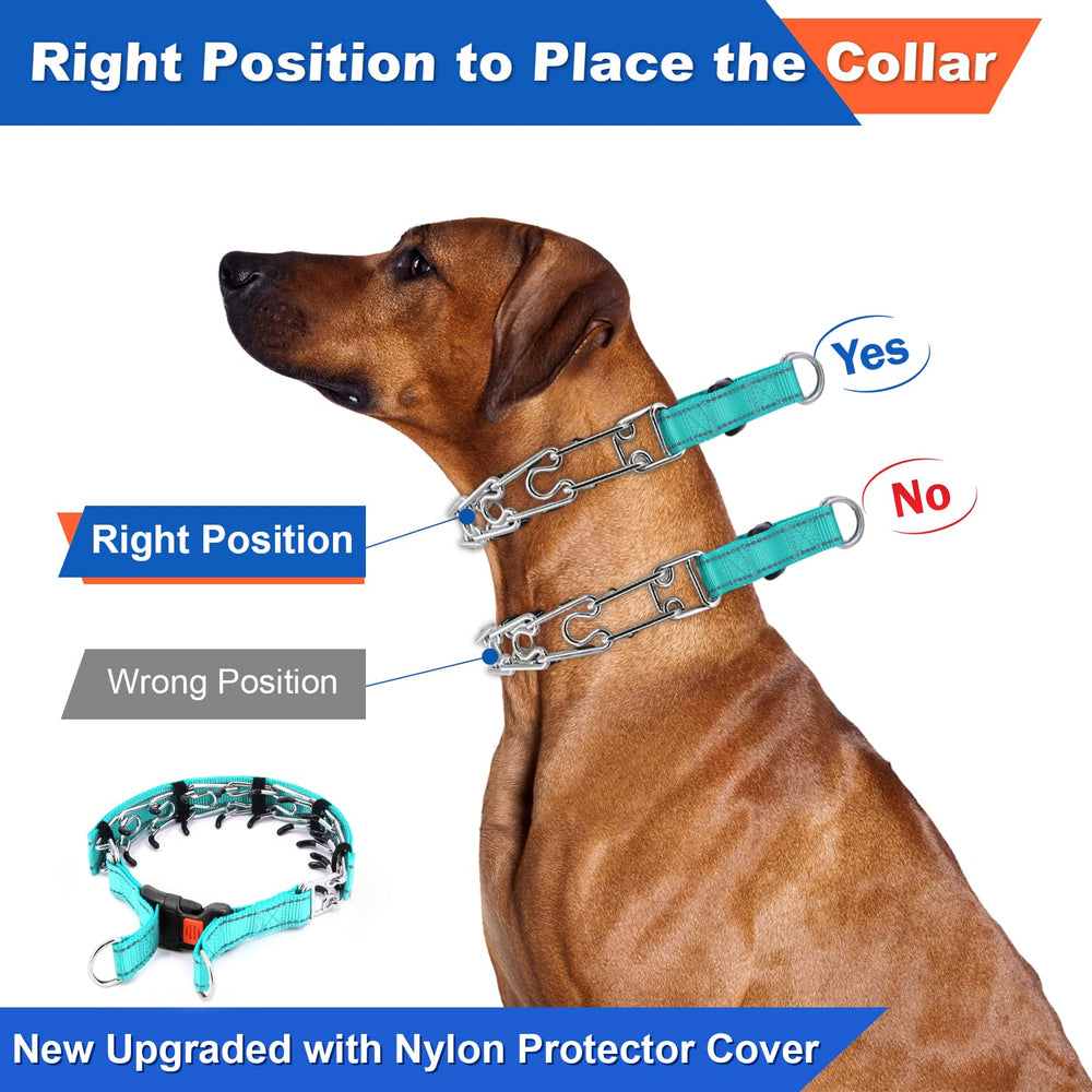 Supet collar punzón, kit de tallas para ajustar perfectamente en cada perro.