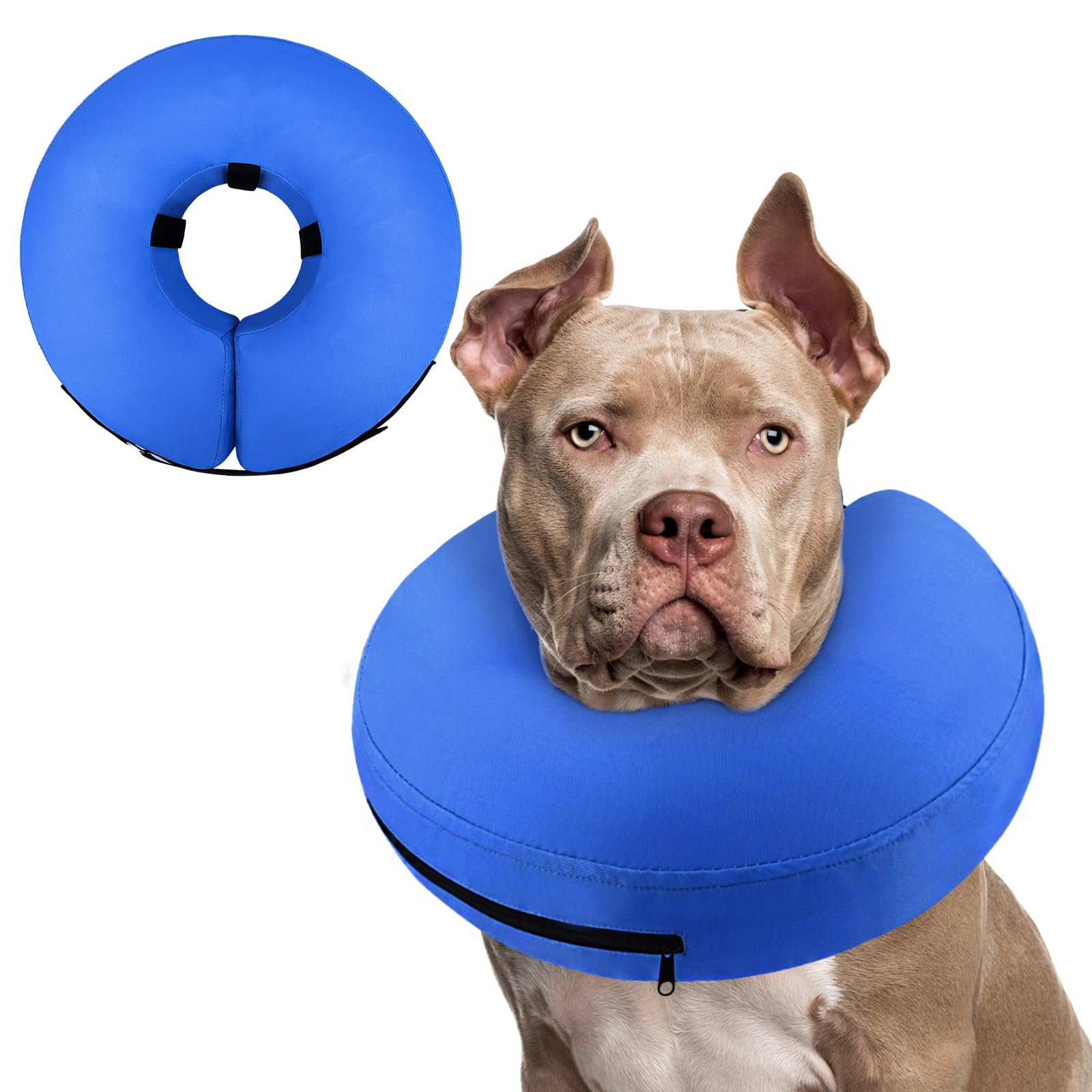 Supet cono inflable para perro en recuperación, protege la herida evitando lamidos.