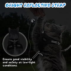 Supet correa para gato universal ideal para paseos diarios.