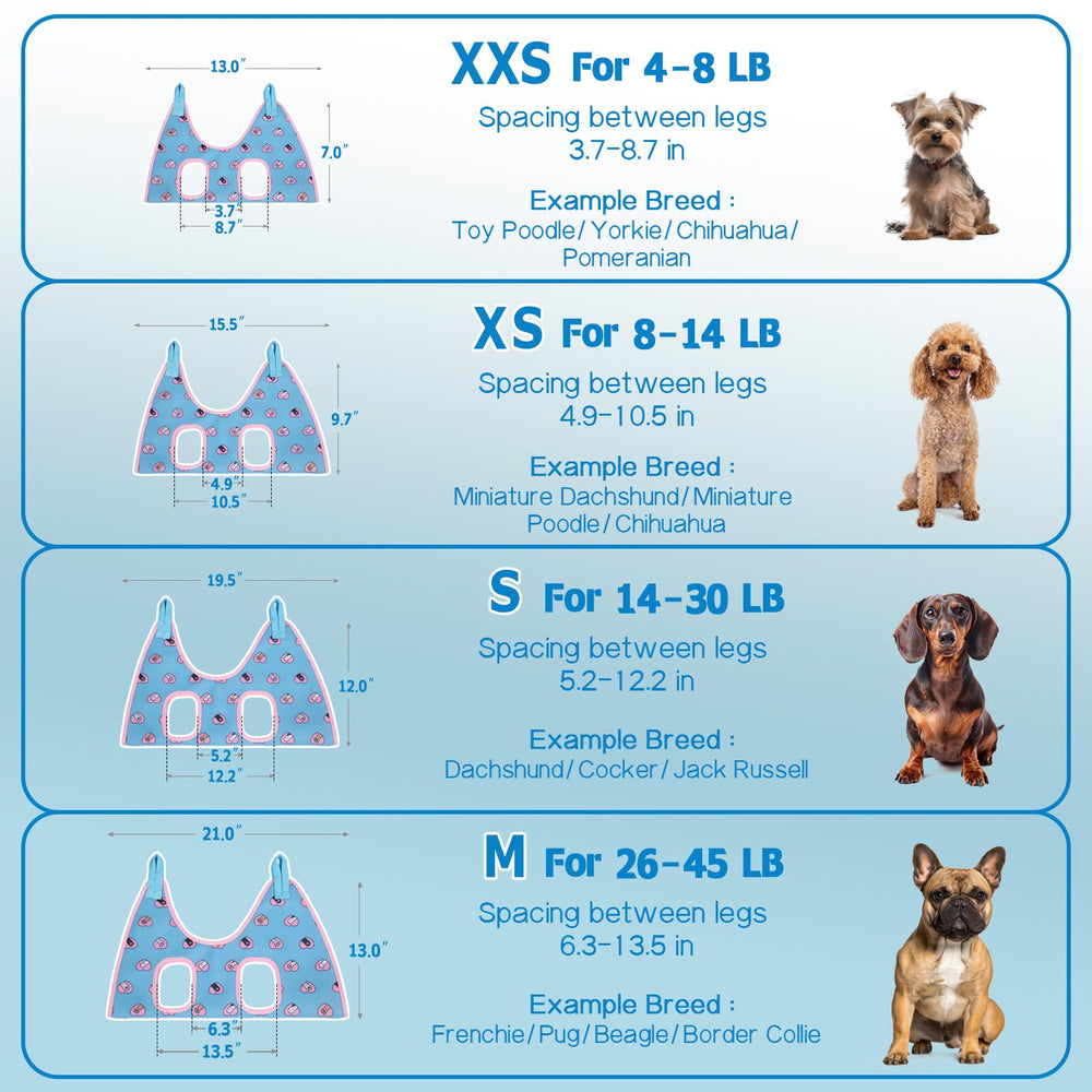 Arnés con sujeción segura para perros activos durante grooming.