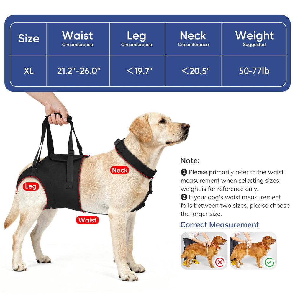 Ajuste ergonómico y cómodo para diferentes tallas y escenarios.