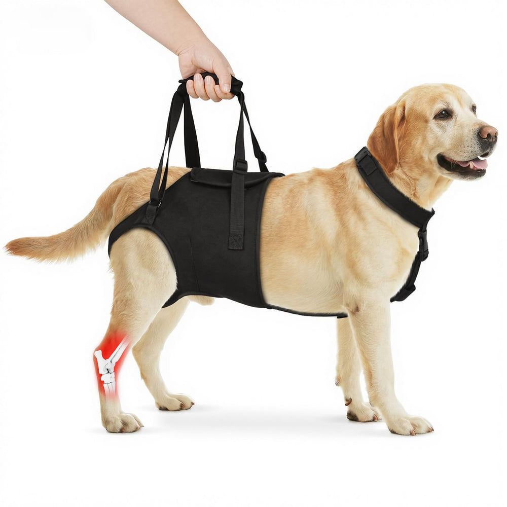 Supet Sling para perro grande, soporte de piernas traseras para mayor estabilidad.