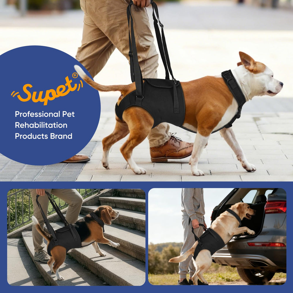 Supet Sling: guía de tallas para elegir el ajuste correcto y seguro.