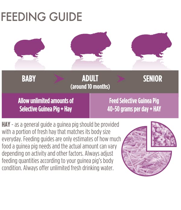 Tamaño de porción recomendado para cobayas con Supreme Petfoods Science Selective.