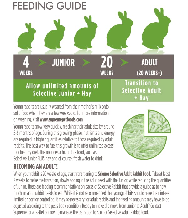 Omega 3 y 6 de linaza en Supreme Petfoods para piel y pelaje