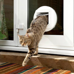 SureFlap lee el chip de identificación del gato al entrar para evitar intrusos.