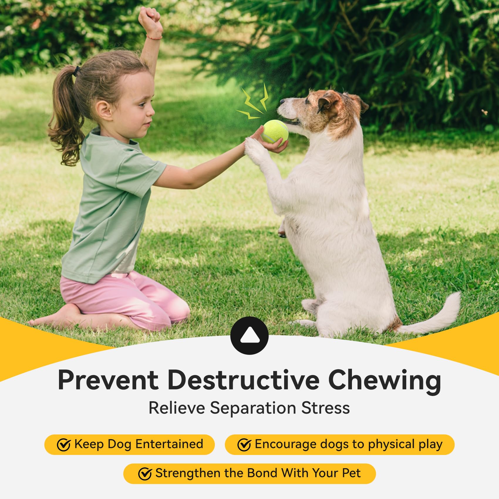 Juego de búsqueda exterior con pelotas susu y wuwu para perros.
