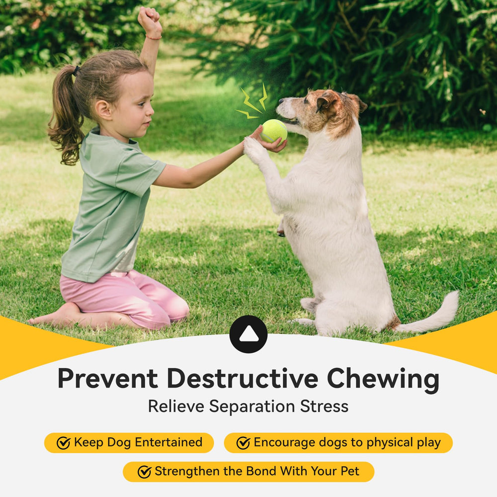 Juego de búsqueda exterior con pelotas susu y wuwu para perros.