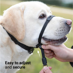 Collar frontal SVD.PET, ajuste rápido, fácil de colocar.