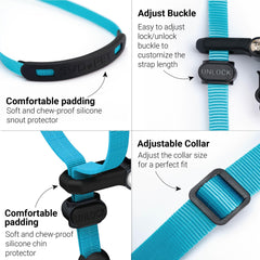 SVD.PET collar frontal, diseño simple para colocar y ajustar rápidamente.