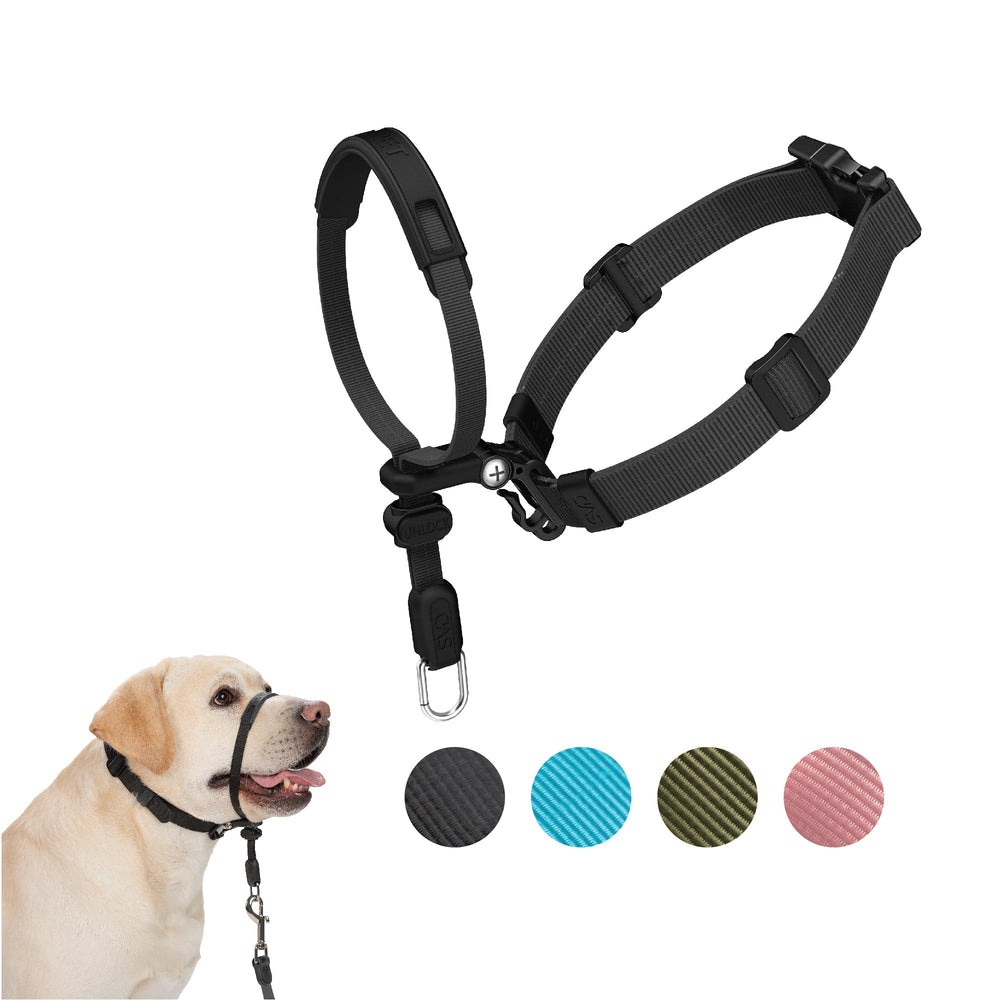 SVD.PET No-Pull Collar: ajuste fácil para paseos sin tirar.