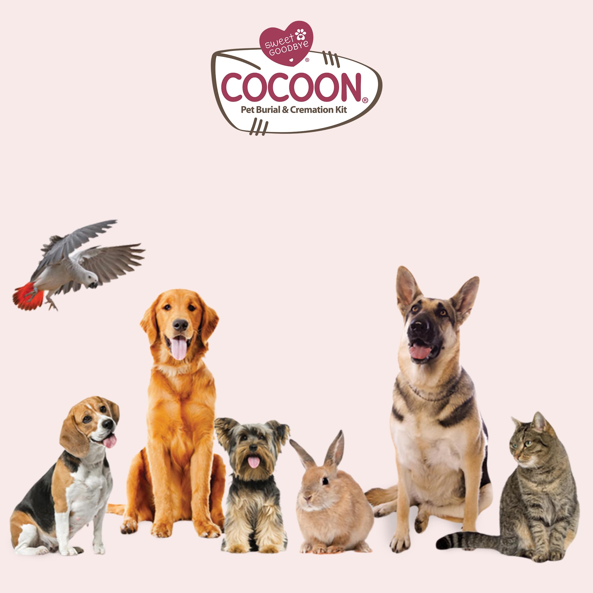 Sweet Goodbye Cocoon: detalles suaves que acompañan el ritual de despedida