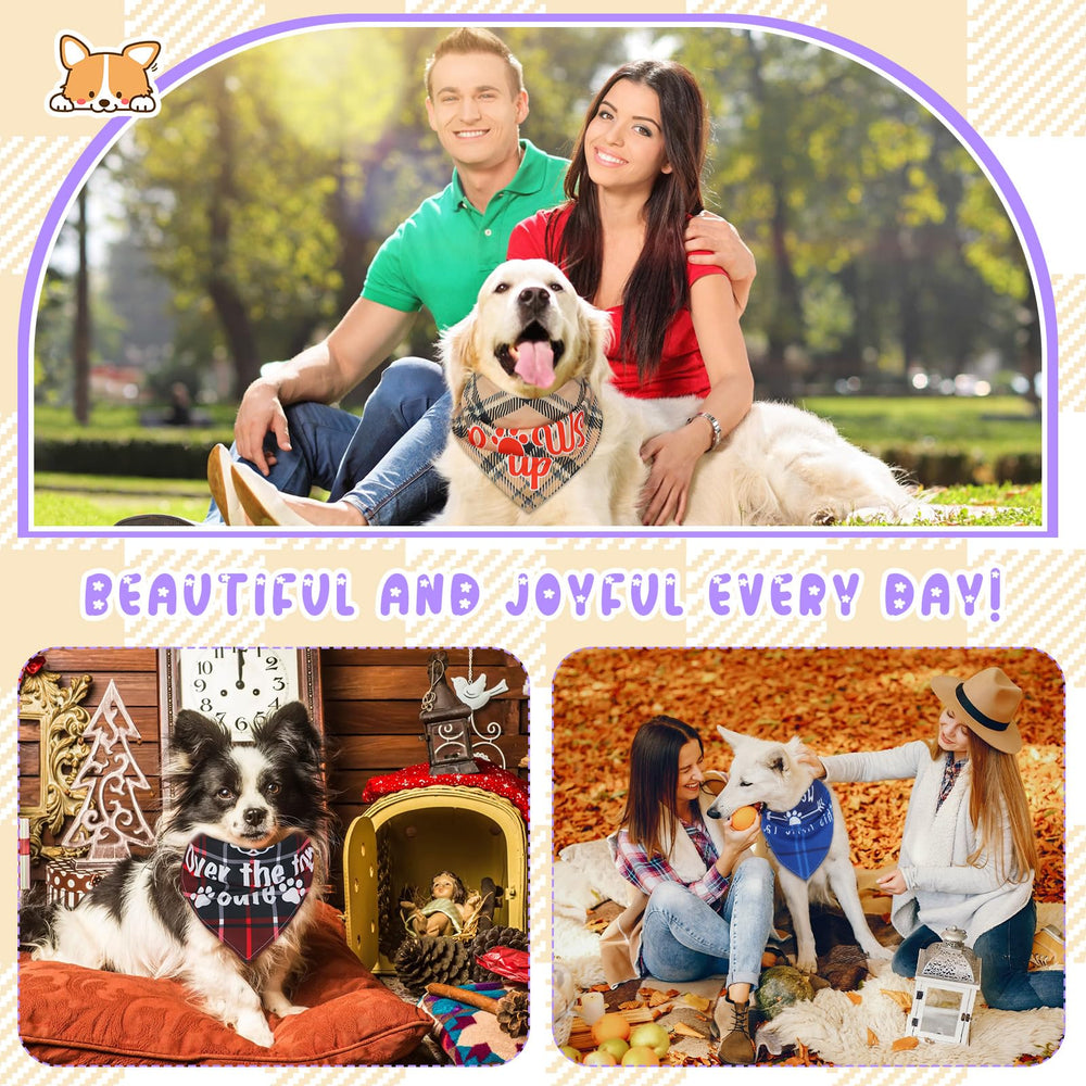 Sweetude bandanas para sesiones de fotografía de mascotas con color y estilo.