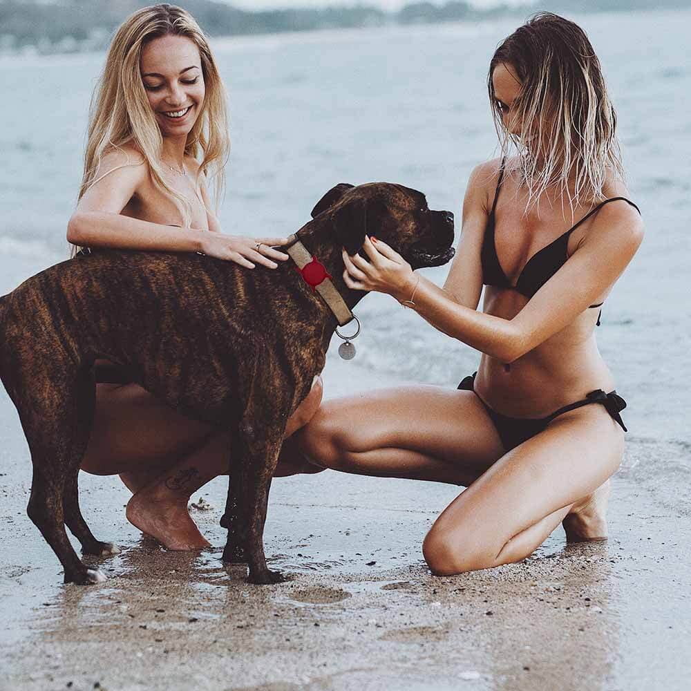 SWINCHO diseño discreto, se integra con estilo en cualquier collar.