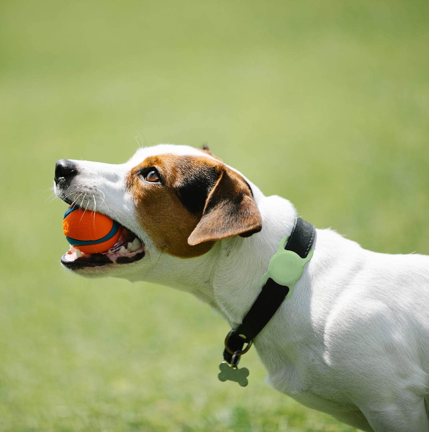 SWINCHO funda AirTag para collar, silicona ligera y duradera para uso diario.