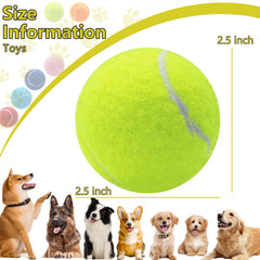 Pelotas de tenis Swingers de 2.5 pulgadas para morder y entrenar.