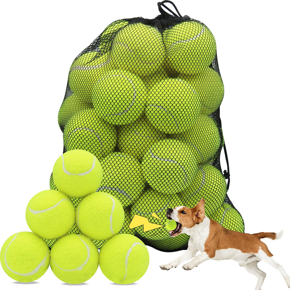 Bola tenis Swingers de 60 unidades con bolsa de malla para transporte cómodo.