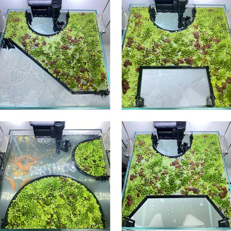 Switior decoracion acuario añade estilo sin afectar a peces ni plantas.