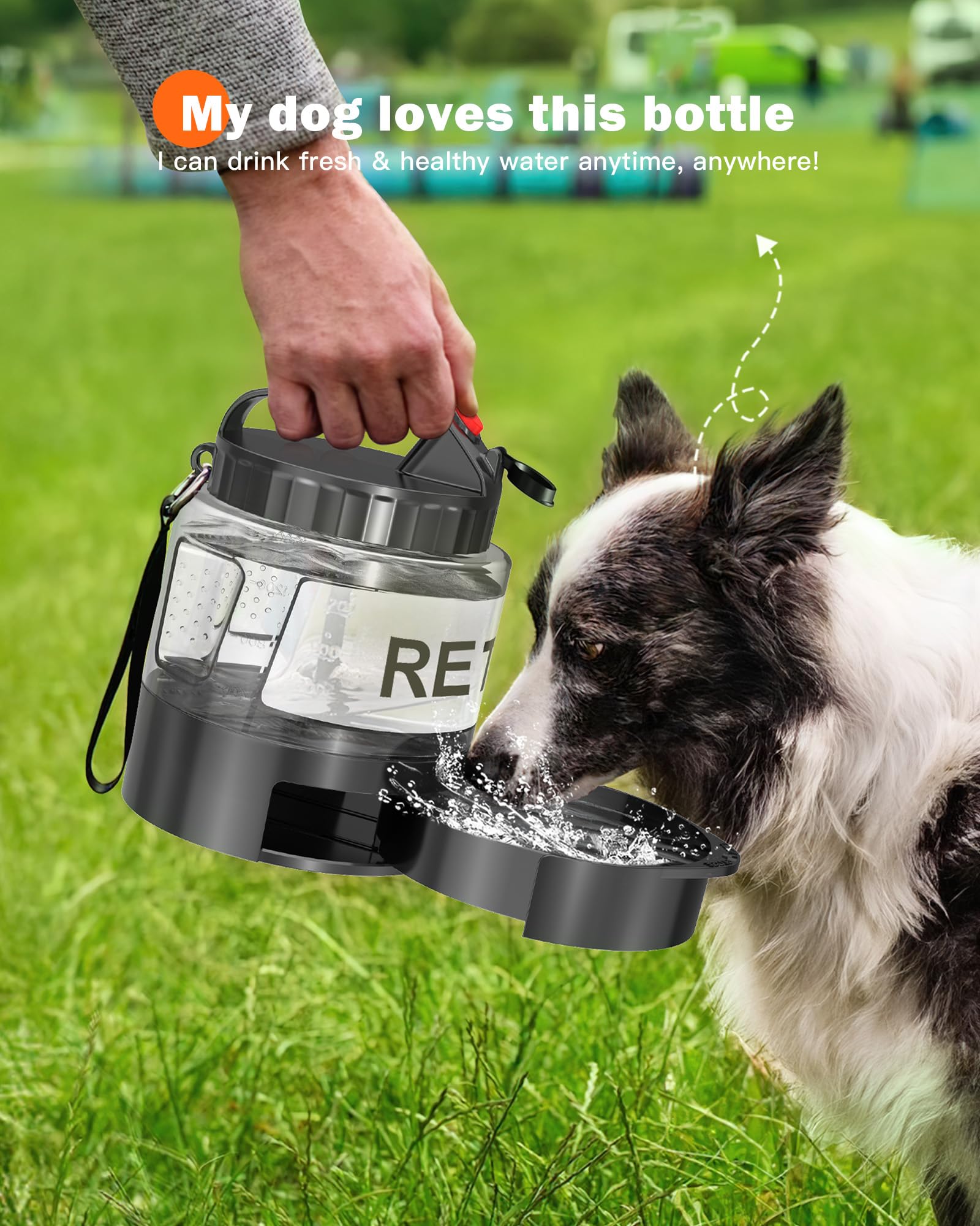 SWSun capacidad-56-onzas-para-perros: ideal para perros grandes en salidas prolongadas.