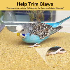 S&X Gravel Paper para jaula de aves, corte fácil para ajuste perfecto.