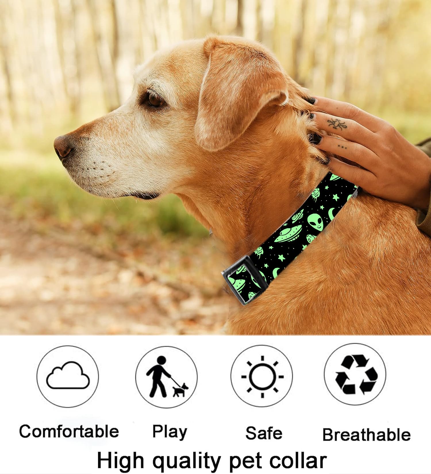 SXboxing collar ligero y lavable, ideal para paseos y juegos.