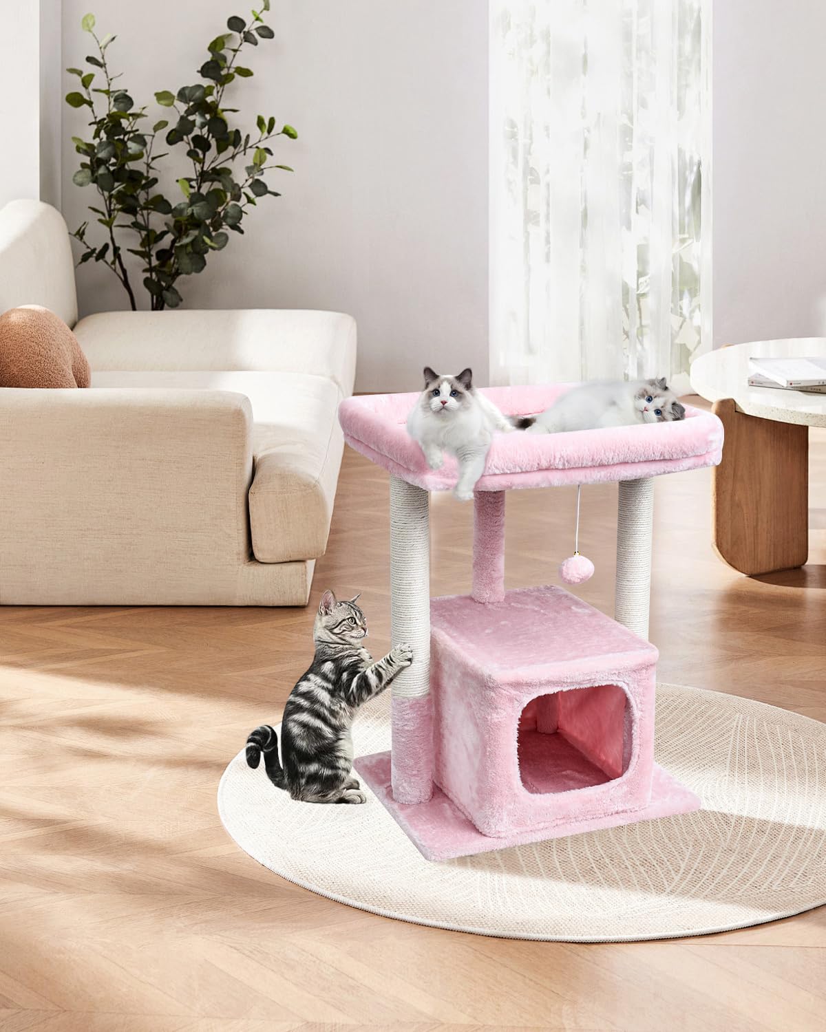 SYANDLVY arbol gatos 27p ambiente moderno en sala.