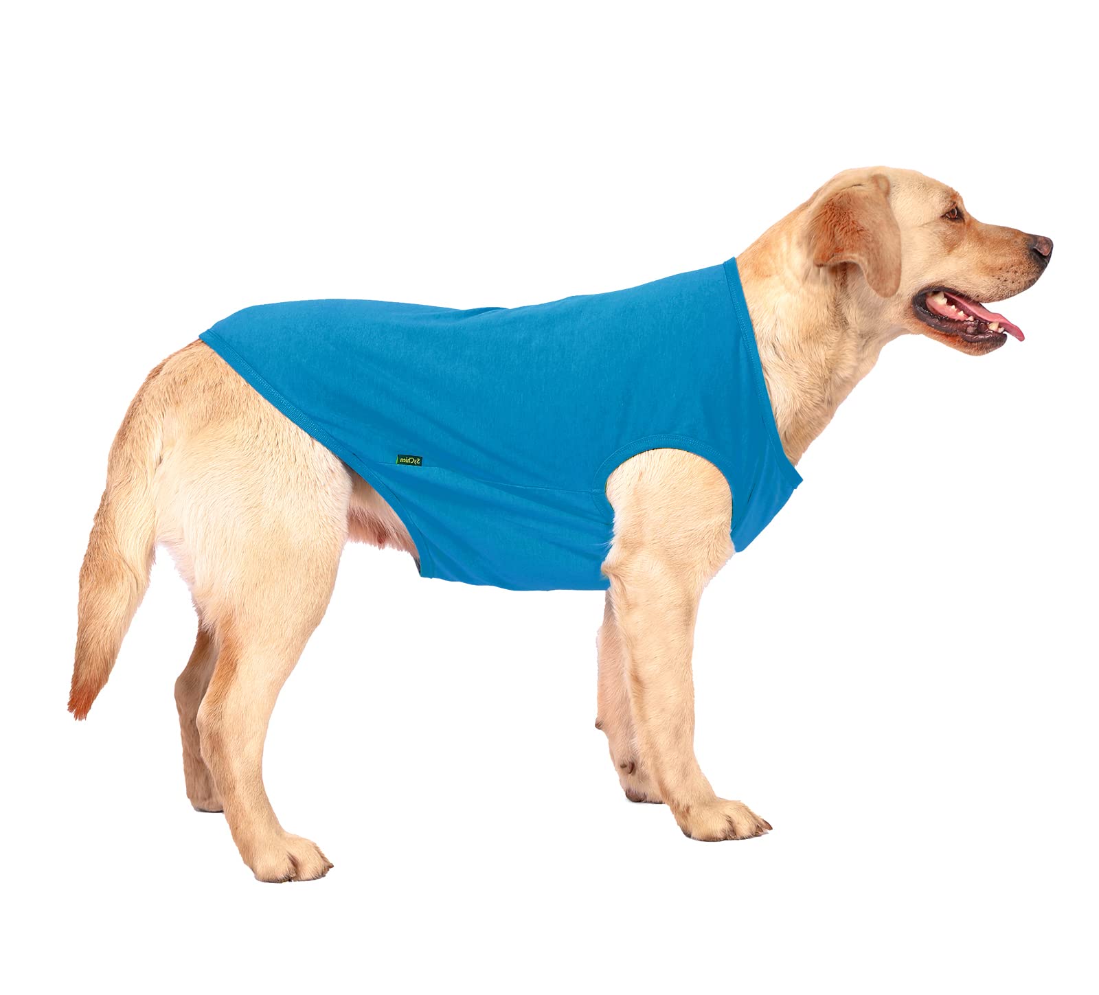 SyChien Camisa azul lisa para uso diario en perros grandes